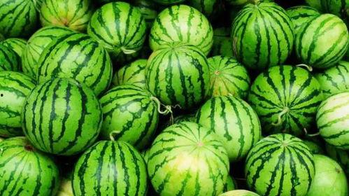 网红吃瓜爆资源,娱乐圈幕后资源大曝光