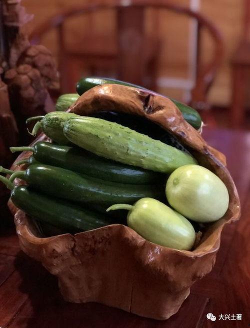 成县的网红瓜在哪里吃,品味当地特色美食之旅