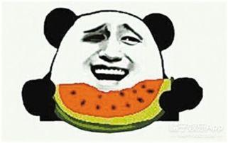 吃瓜群众网地址,带你走进网络舆论的焦点之地