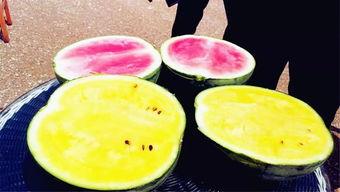 网爆热门大瓜吃瓜,真相与谣言的交织