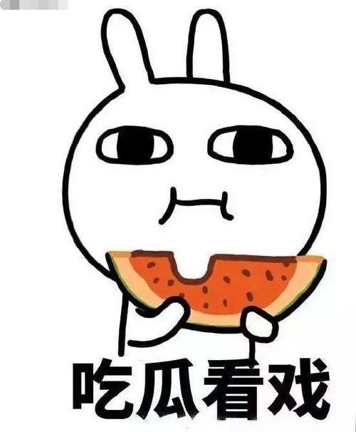 吃瓜网违法不,揭开网络乱象背后的真相