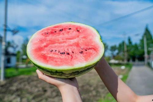 网红打卡地吃瓜打卡,打卡美食新潮流