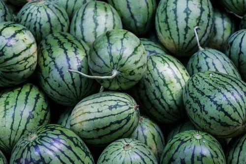 吃瓜网颜色,揭秘网络世界多彩生活