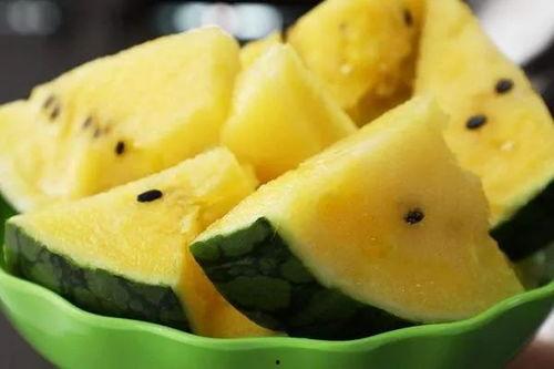 吃瓜网颜色,揭秘网络世界多彩生活