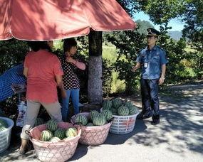 武都网红吃瓜群众事件真相,真相背后的网络舆论风暴