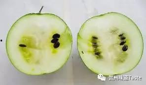 专门吃瓜的网,揭秘网络“吃瓜群众”背后的狂欢世界