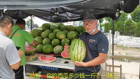 网红旅游吃瓜走红视频大全,热门视频盘点