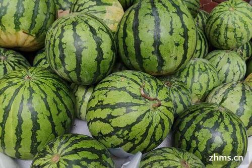 吃瓜黑什么网,网络舆论场中的热点追踪与真相探寻