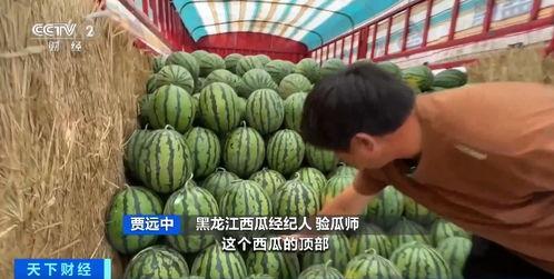 台湾网红绿神亮亮吃瓜,台湾网红的趣味生活瞬间