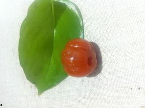 黑料吃瓜网799su