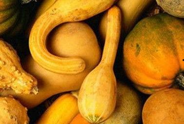 17cght吃瓜官网,带你领略网络娱乐新风向