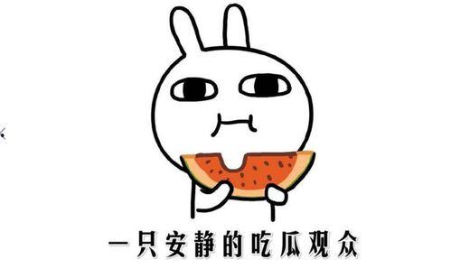 吃瓜网今日吃瓜热门在线观看,吃瓜网揭秘热门事件，在线观看精彩纷呈