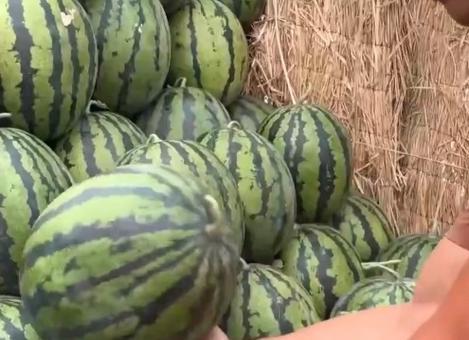 网红向然的吃瓜群