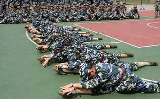 吃瓜军训舞蹈表演中国网