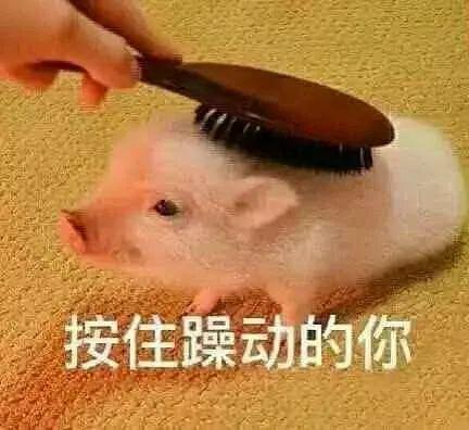 吃瓜网红被拐卖是真的吗,真相究竟如何？