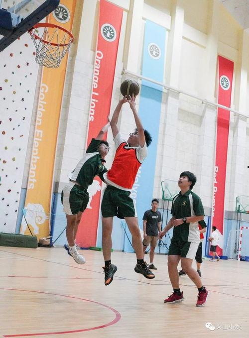 女网红打篮球吃瓜,趣味横生引网友热议