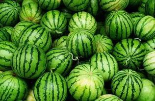 镇平网红吃瓜群微信