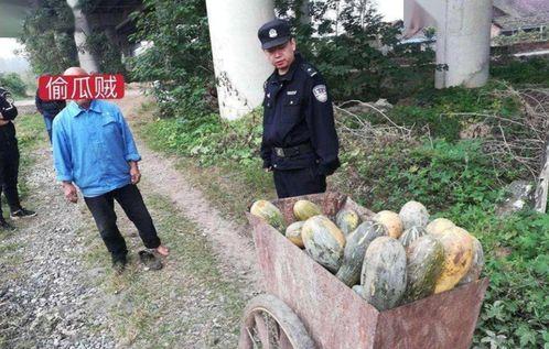 文安吃瓜事件网红,网红引发的网络狂欢与反思