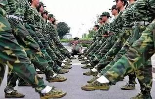 吃瓜网军训跳舞,青春活力舞动，军训新风尚