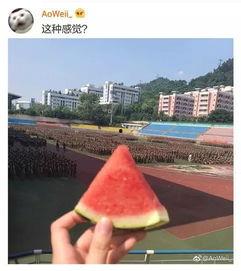 吃瓜网军训跳舞,青春活力舞动，军训新风尚