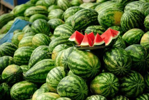 所有吃瓜网红,揭秘网红们的吃瓜盛宴