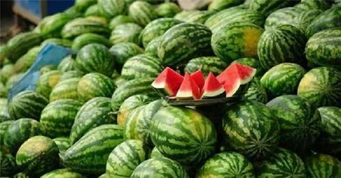 网红富贵闲人吃瓜是真的吗