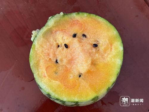 网爆网吃瓜,娱乐圈吃瓜大揭秘，明星幕后故事曝光