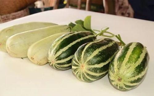 可以吃网红瓜的,揭秘网络红人背后的故事与真相