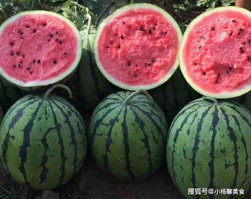 吃瓜网此免费,吃瓜网带你畅游明星幕后生活