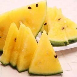 国内吃瓜网地址,一网打尽娱乐圈最新动态