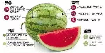 射阳网红吃瓜群微信,揭秘网络热点背后的故事