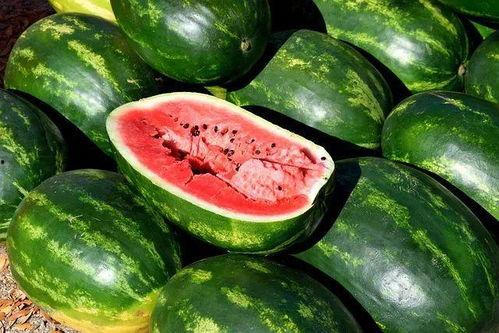 爱可可网红吃瓜图片,爱可可美食图鉴